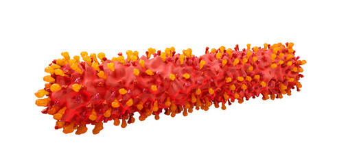 Respiratory syncytial virus (RSV), filamentous shape, with its envelope proteins G, F and SH. The RSV virus can cause respiratory infections. 3d illustration.
