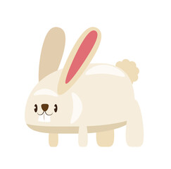 rabbit cartoon character