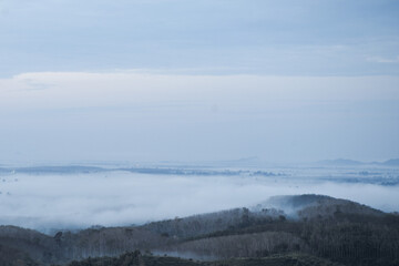 Landscape of the tropical forest covered with the white fog in the morning
