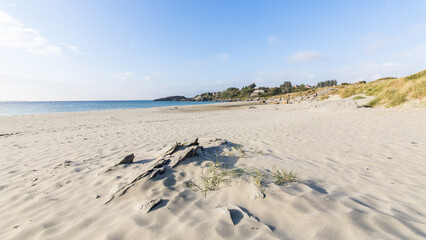 Beautiful scene on a sandy beach with dunes near Stavanger, Norway