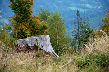 landscape in the mountains