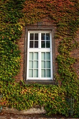 Fototapeta na wymiar old brick wall with window