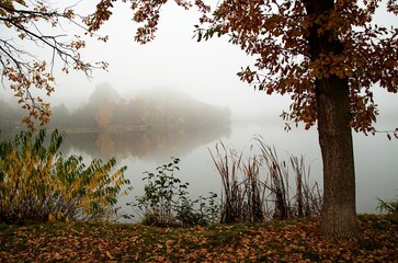 misty morning over lake