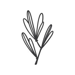 Hand drawn foliage branch vector, twig and leaves, flora