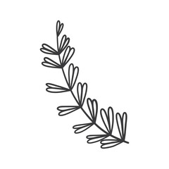 Hand drawn foliage branch vector, twig and leaves, flora