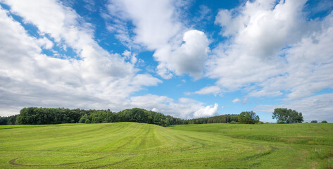 hilly rural landscape near Ebersberg with mowed field. upper bavaria