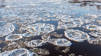 Melting, round pieces of ice and snow float down the river. Ice drift. Change of seasons. Winter, spring in Latvia.
