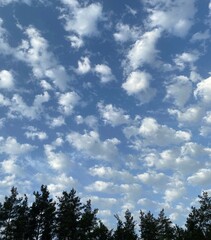 Obraz premium sky and clouds