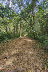 Parque Nacional Forestal La Yeguada