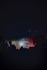fireworks in summer