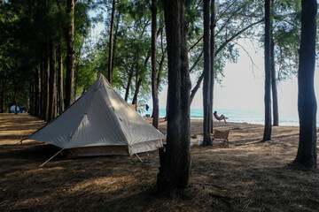 Camping tent in pine tree forest on isaland sea beach