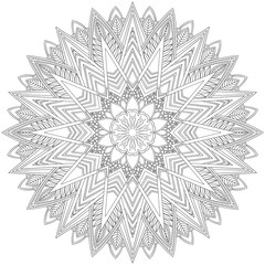 Mehndi Henna Drawing Circular Mandala pattern for tattoo, decoration premium product poster or painting. Decorative ornament in ethnic oriental style. Outline doodle hand draw illustration.