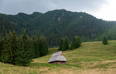 Fototapeta na wymiar Old wooden huts in the Tatra Mountains