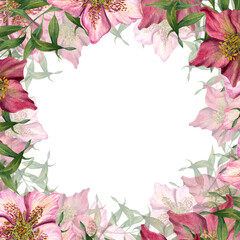 Square floral frame with watercolor hellebores isolated on white background. For greeting card design, invitation template, for Valentine day, birthday, wedding, mother day cards