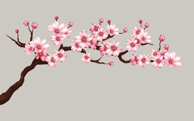 Obraz na płótnie Canvas cherry blossom branch with sakura flower. sakura white background. watercolor cherry bud. cherry blossom flower blooming. vector pink sakura flower background. watercolor cherry blossom vector