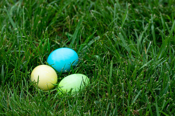 Multiple colorfully dyed Easter eggs in green grass with a shallow depth of field and copy space