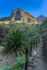 Aktiv auf Teneriffa, Kanarische Inseln: Die Masca Schlucht im Nordwesten - geführte Wanderung...