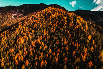 Rocky mountains.  Hiking in mountains. Sunny landscape. Tourist traveler on background view mockup. Low tatras , slovakia, Jasna, demenovska dolina © Zedspider