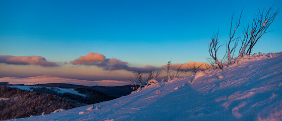 panorama of snow-capped mountains at sunset during a cold winter  mighty mountain peaks in the Polish Bieszczady mountains  mountain vegetation covered with snow © Lens Down Under