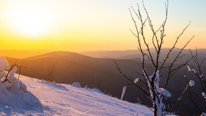 panorama of snow-capped mountains at sunset during a cold winter  mighty mountain peaks in the Polish Bieszczady mountains  mountain vegetation covered with snow © Lens Down Under