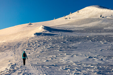 backpacker girl climbs up a steep snowy mountain, hiking on snowy ridge in Bieszczady mountains, polonina carynska