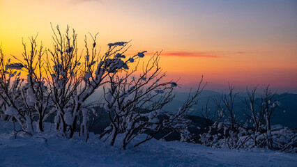 panorama of snow-capped mountains bieszczady at sunset, colorful winter sunset seen from the top of the mountain wielki rawka