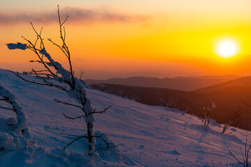 panorama of snow-capped mountains bieszczady at sunset, winter sunset seen from the top of the mountain wielka rawka © Lens Down Under