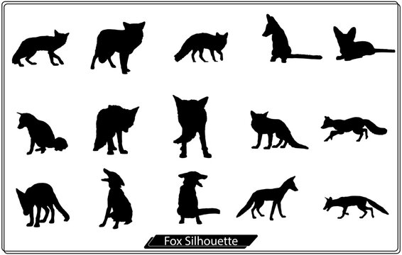 vector illustration of Wolf silhouette