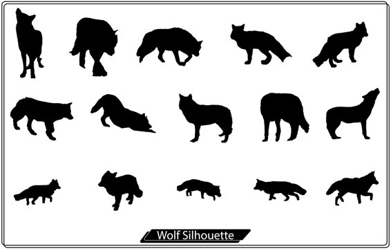 vector illustration of Fox silhouette