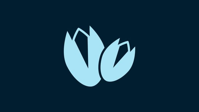 White Pistachio nuts icon isolated on blue background. 4K Video motion graphic animation