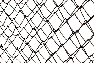 Fototapeta premium Background of metal mesh or wire on a white background