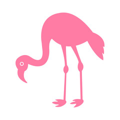 pink flamingo on white