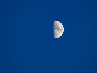 the growing moon in the first quarter with craters on the background of the blue evening sky