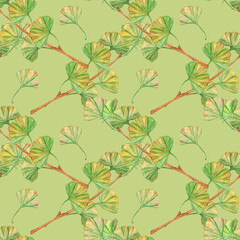Seamless pattern ginkgo biloba green and yellow leaves, print botany foliage. Watercolor branches. Leaves clip art.