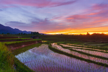 Fototapeta na wymiar Asian landscape at sunrise over mountains and rice fields