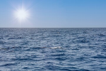 Blue sea with horizon