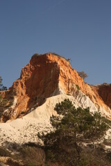 Fototapeta premium red rock canyon