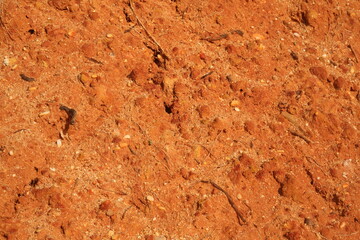 texture of a stone