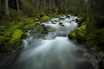 Schwarzwasserbach im Kleinwalsertal bei der Ortschaft Riezlern.