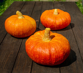Close up, top view of pumpkin on wooden surface. Copy space