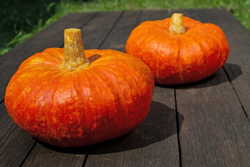 Close up view of cut pumpkin on wooden surface and nature background. Copy space
