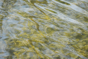 Green water lake with space for text. Water background texture.