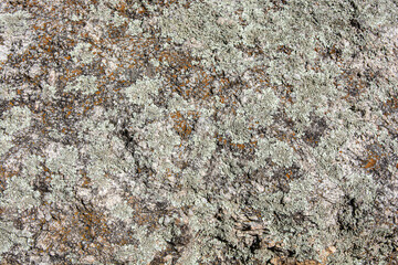 stone texture of rock formations close up