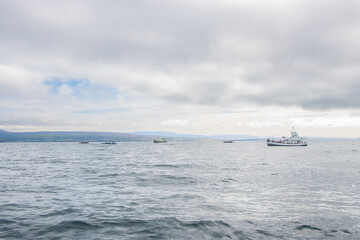 Whale Watching the Atlantic Ocean of Husavik, Iceland