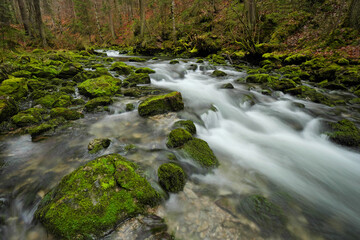 Obraz premium Aubach im Kleinwalsertal bei der Ortschaft Riezlern.