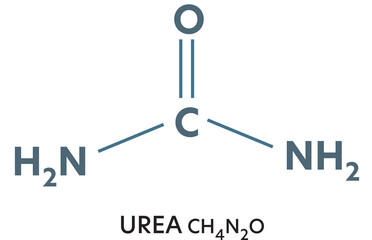 Urea, Carbamide. Structural chemical molecule formula