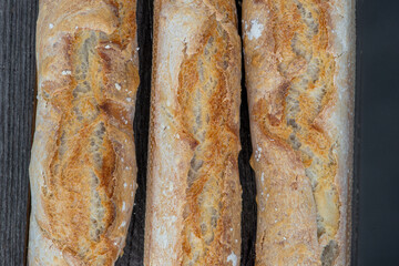 three freshly baked french breads, close up