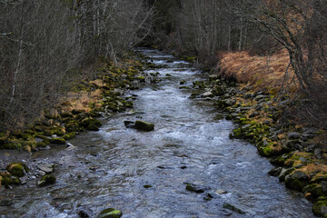 Schwarzwasserbach im Kleinwalsertal bei der Ortschaft Riezlern.