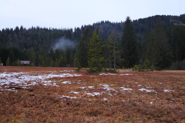 Hochmoor im Kleinwalsertal.