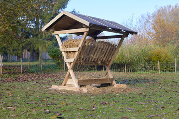 Wooden hay rack in garden containing fresh hay